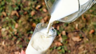 Молдавское молоко — для Молдовы и/или ЕС?