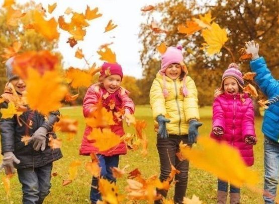 Осенние школьные каникулы могут продлить до 7 ноября
