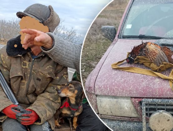 В Кагуле оштрафовали двух охотников за незаконную охоту на фазанов